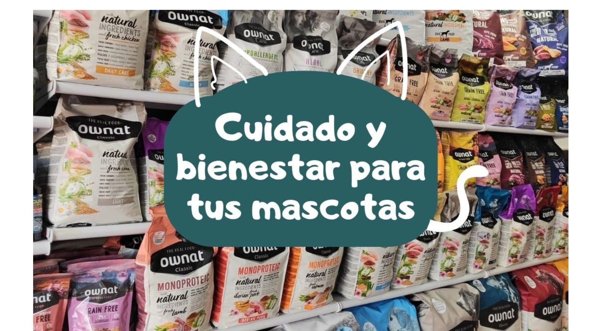 Cuidado y bienestar para tu mascota